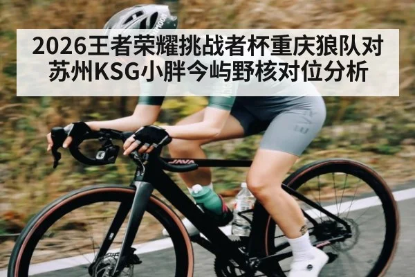 2026王者荣耀挑战者杯重庆狼队对苏州KSG小胖今屿野核对位分析